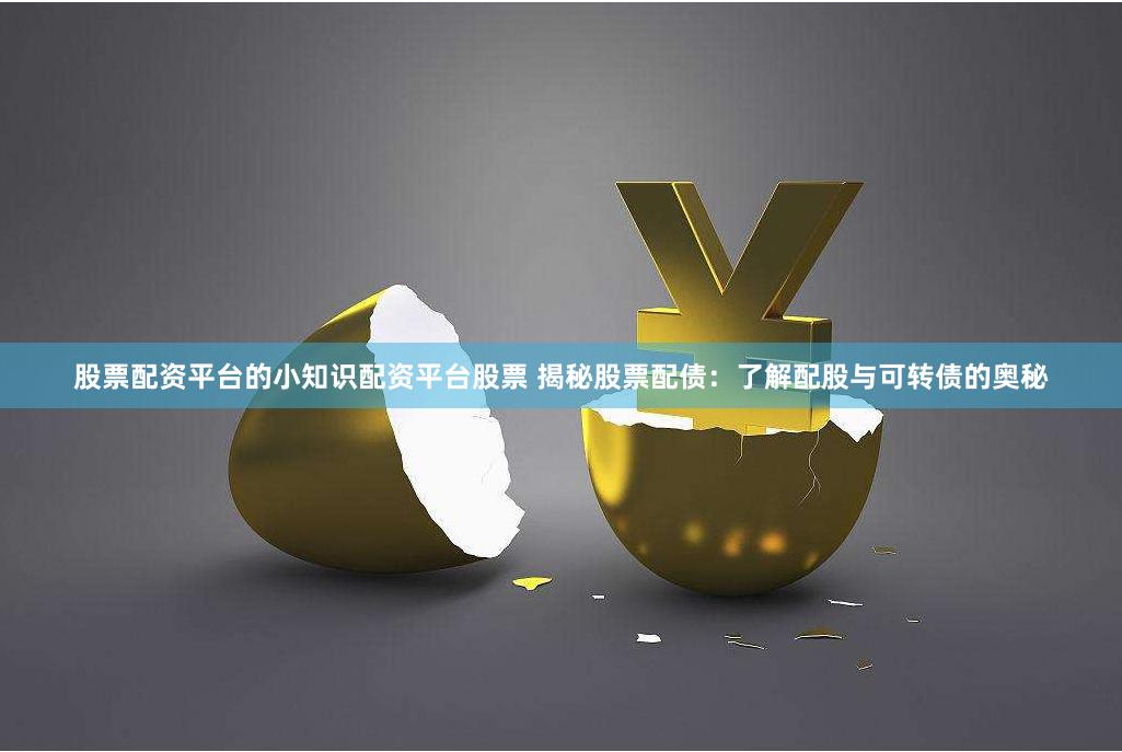 股票配资平台的小知识配资平台股票 揭秘股票配债：了解配股与可转债的奥秘